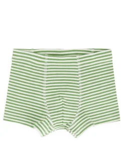 Trunks, 3-pack